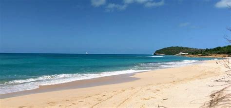 nude beaches antigua|Eden Beach